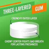 TheraBreath Chewing Gum (6 Pack / 60 Gums) - Whiter Smile